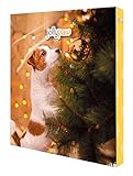 TRIXIE JollyPaw Hund Weihnachten Adventskalender