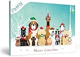 PetPäl Adventskalender 2023 - Ohne Getreide, Gluten, Zucker, Salz - DER Gesunde und Leckere Snack, Leckerli zu Weihnachten für Deinen Hund - Natürliche Hundekekse zum Advent - Made in Germany