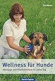 Wellness für Hunde: Massage und Physiotherapie für jeden Tag