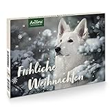 AniForte Adventskalender für Hunde 2022 - Natürliche Hundesnacks getreidefrei, Adventszeit Snacks, Leckerli ohne Farb- & Konservierungsstoffe, Weihnachtskalender mit Zellstoff-Einlage