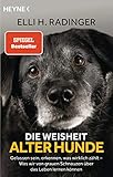 Die Weisheit alter Hunde: Gelassen sein, erkennen, was wirklich zählt – Was wir von grauen Schnauzen über das Leben lernen können