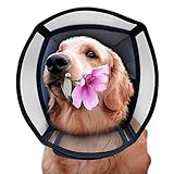SimpArt -Comfy Halskrause Hund für Haustiere für Genesung nach Operationen oder Wunden, PVC-Material aufwerten Kragen Hund,Verstellbares Weiches Hundekragen Leckschutz,Leckschutz Hund-L