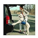 Kurgo Up and About Hebegeschirr für Hunde, ergonomisches Design, Hilft dem Hund beim Treppensteigen oder ins Auto, für Hunde zwischen 23 kg und 41 kg, Ideal für kranke und alte Hunde