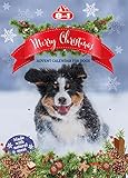 8in1 Hunde-Adventskalender 2022 - Adventskalender mit 24 Leckerlis und Snacks für Hunde