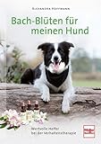 Bach-Blüten für meinen Hund: Wertvolle Helfer bei der Verhaltenstherapie