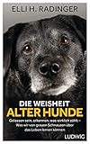 Die Weisheit alter Hunde: Gelassen sein, erkennen, was wirklich zählt – Was wir von grauen Schnauzen über das Leben lernen können