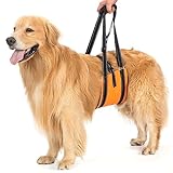 Avont Hunde Tragehilfe - Hundeschlaufe für große Hunde Hinterbeinstütze, Hebehilfe mit Griff und Gurt für Hüftdysplasie, Canines Lifter Support Harness for Elderly Dogs - Orange L