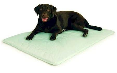 Kühlmatte für Hunde Cool Bed III Kühlmatte für Hunde Cool Bed III