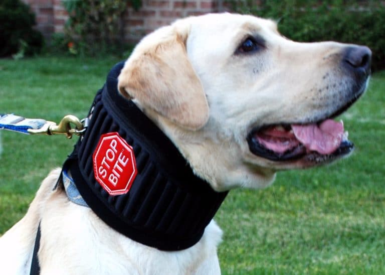 Bequeme Hunde Halskrausen Leckschutz für Hunde Hundetrichter