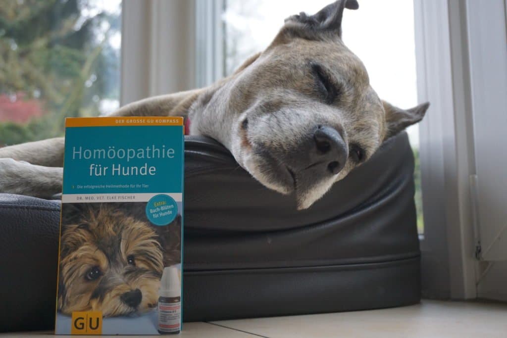 Buch Homöopathie für Hunde
