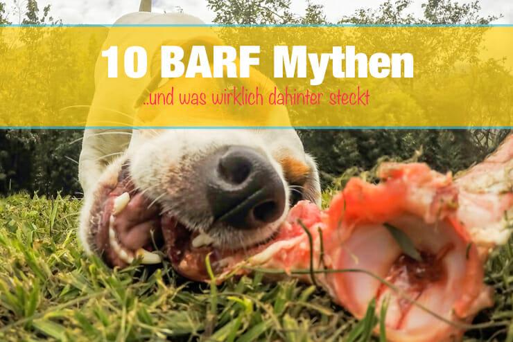BARF Mythen