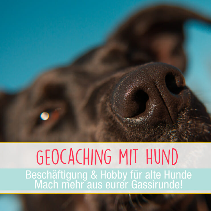 Geocaching für Hunde