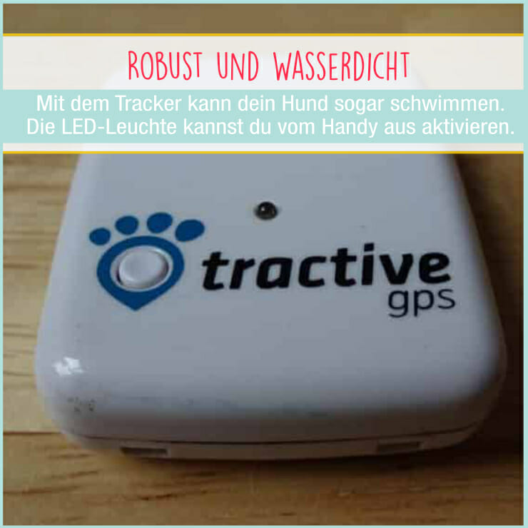 Tractive GPS für Hunde - Detailansicht