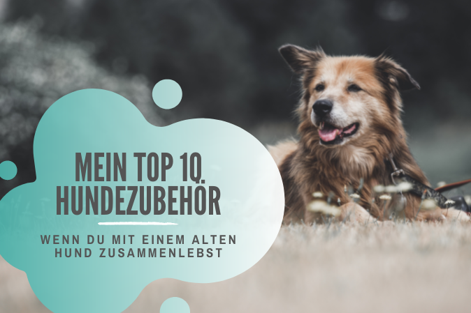 Top 10 Hundezubehör alte hunde